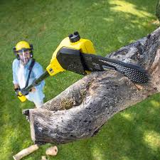 Best Sod Installation  in Seadrift, TX