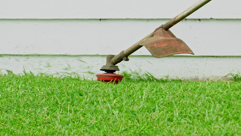 Best Lawn Pest Prevention  in Seadrift, TX